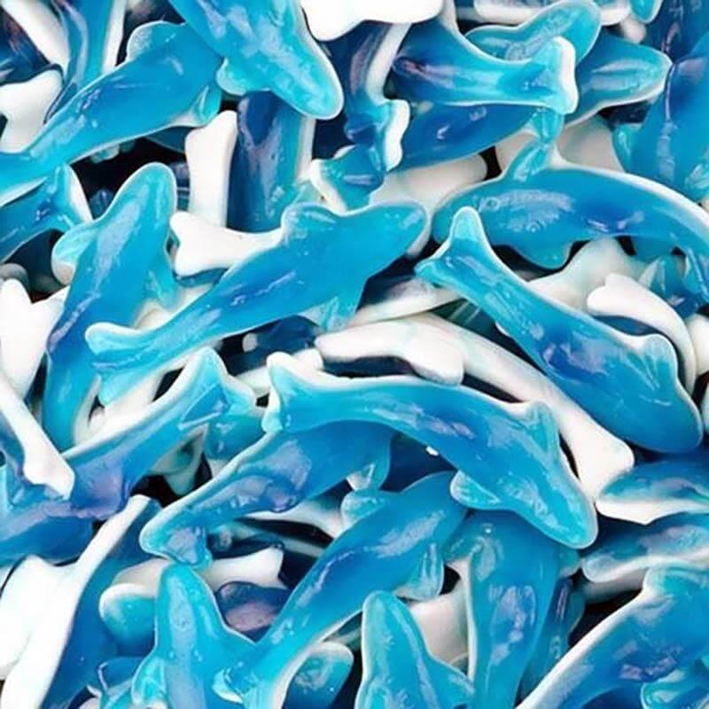 Blue Dolphins 60 Pieces