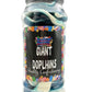 Giant Dolphins Retro Gummy Sweets Gift Jar - 725g